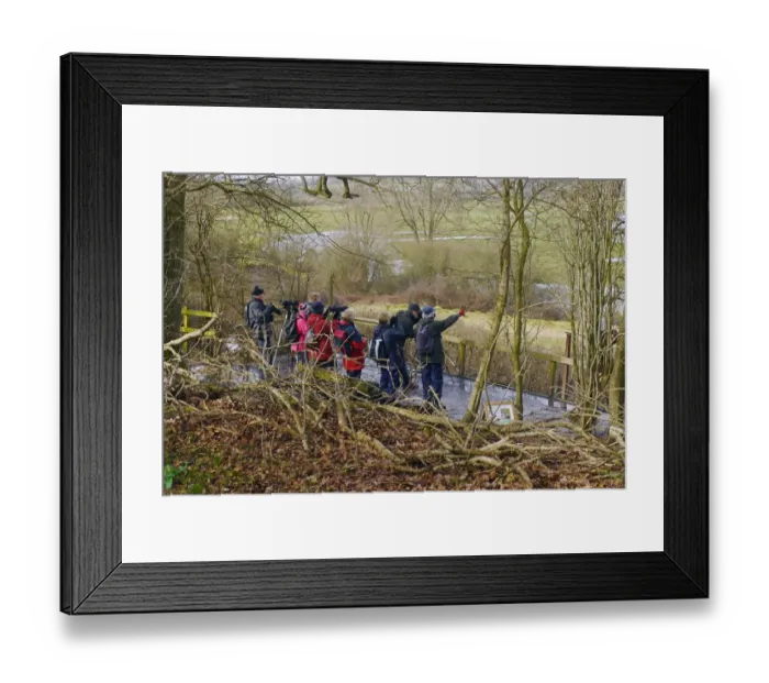 Framed Print : Group of birdwatchers with binoculars and telescopes, Jupp's View, Pulborough Brooks, RSPB Reserve, West Sussex, England, february