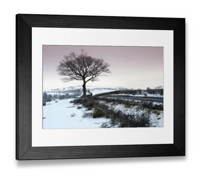 Framed Print : Farmer repairing old hedge in snow at evening, cutting out old growth and relaying branches to make field boundry, Cumbria, England, december Framed Print : Farmer repairing old hedge in snow at evening, cutting out old growth and relaying branches to make field boundry, Cumbria, England, december