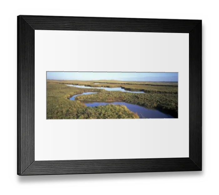 Framed Print : Estuaries-Salt Marsh Saltmarsh at Simpsons Saltings - Suffolk Wildlife Trust Framed Print : Estuaries-Salt Marsh Saltmarsh at Simpsons Saltings - Suffolk Wildlife Trust