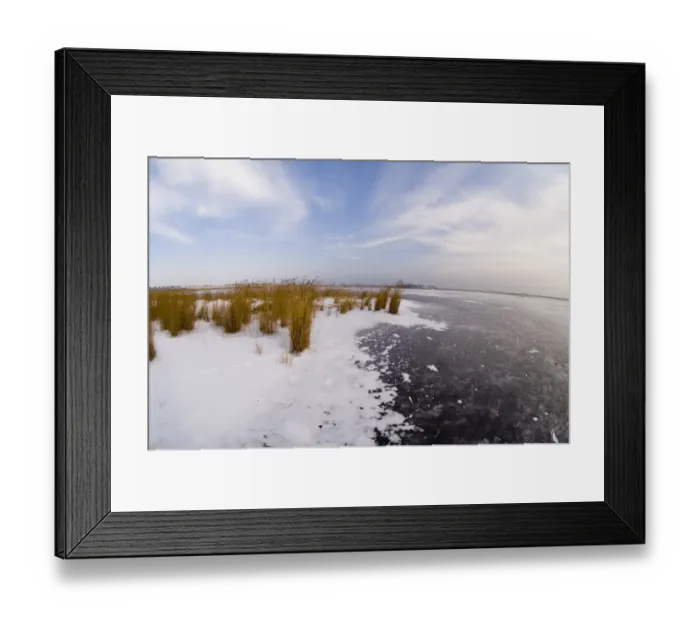 Framed Print : European Red Fox (Vulpes vulpes) footprints, in snow on frozen lake habitat, Lake Durankulak, Durankulak, Dobrich Province, Bulgaria, february Framed Print : European Red Fox (Vulpes vulpes) footprints, in snow on frozen lake habitat, Lake Durankulak, Durankulak, Dobrich Province, Bulgaria, february