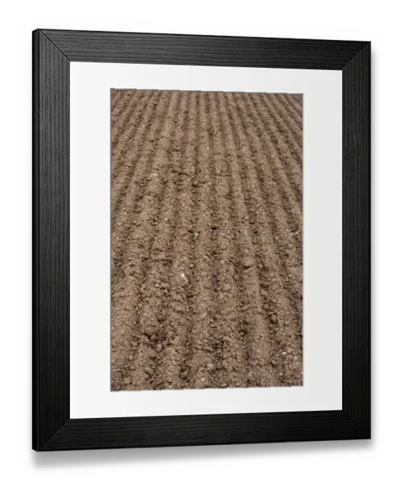 Framed Print : Freshly cultivated soil in arable field, Scotland, september Framed Print : Freshly cultivated soil in arable field, Scotland, september