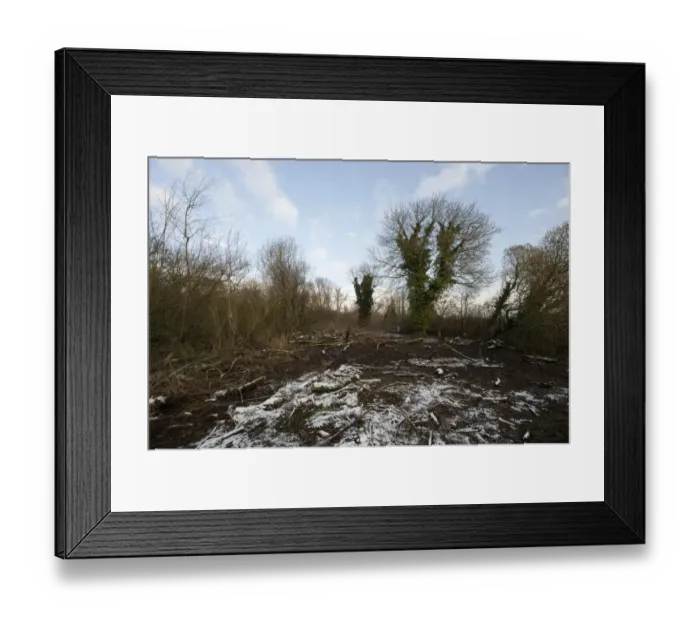 Framed Print : Scrub clearance on riverbank in snow, Ferry Wood, The Broads N. P. Norfolk, England, december Framed Print : Scrub clearance on riverbank in snow, Ferry Wood, The Broads N. P. Norfolk, England, december