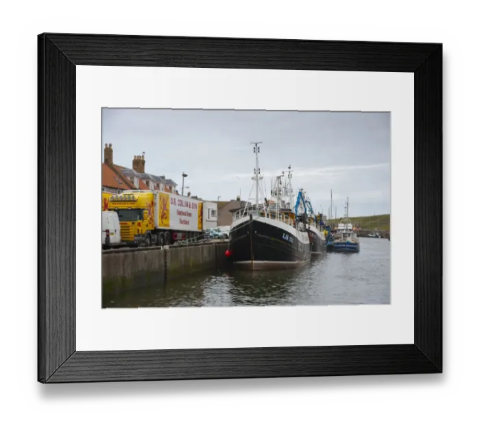 Framed Print : Bonaventure LH111 fishing trawler unloading at harbour, Eyemouth, Berwickshire, Scottish Borders, Scotland, july Framed Print : Bonaventure LH111 fishing trawler unloading at harbour, Eyemouth, Berwickshire, Scottish Borders, Scotland, july