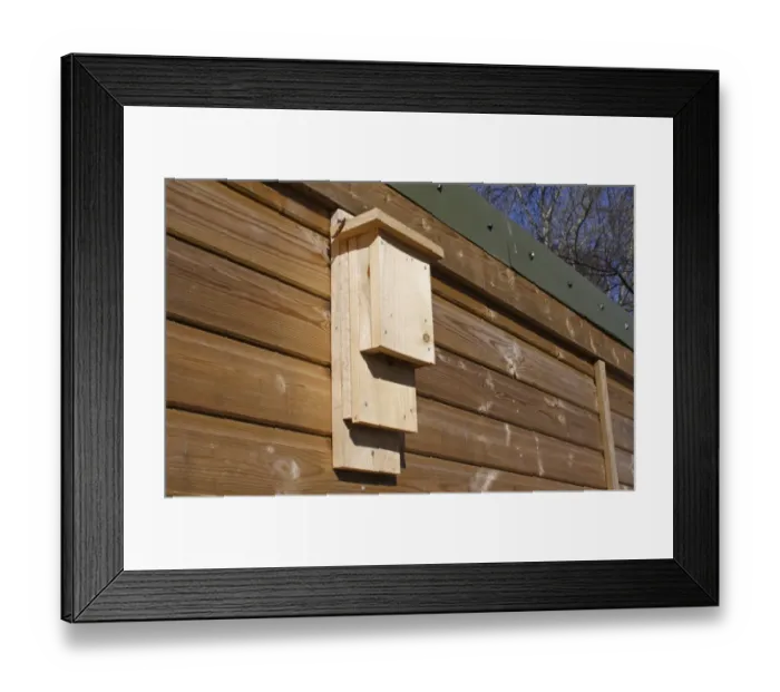 Framed Print : Insect box fixed to hide, Lackford Lakes Nature Reserve, Suffolk, England, march Framed Print : Insect box fixed to hide, Lackford Lakes Nature Reserve, Suffolk, England, march