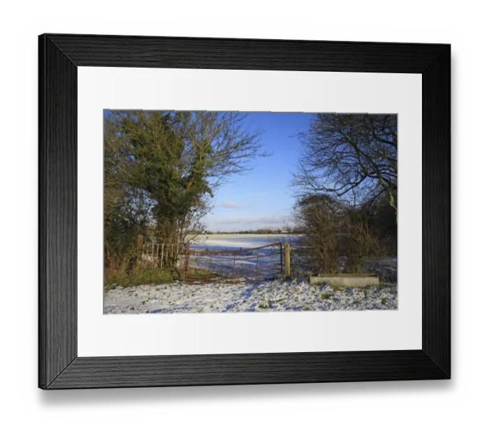 Framed Print : Gate and water trough at edge of snow covered pasture, Bacton, Suffolk, England, november Framed Print : Gate and water trough at edge of snow covered pasture, Bacton, Suffolk, England, november