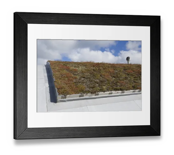 Framed Print : Eco visitor centre with sedum ecological insulation on roof, Cley Marshes, Norfolk Wildlife Trust Reserve, Cley-next-the-Sea, Norfolk, England, september Framed Print : Eco visitor centre with sedum ecological insulation on roof, Cley Marshes, Norfolk Wildlife Trust Reserve, Cley-next-the-Sea, Norfolk, England, september