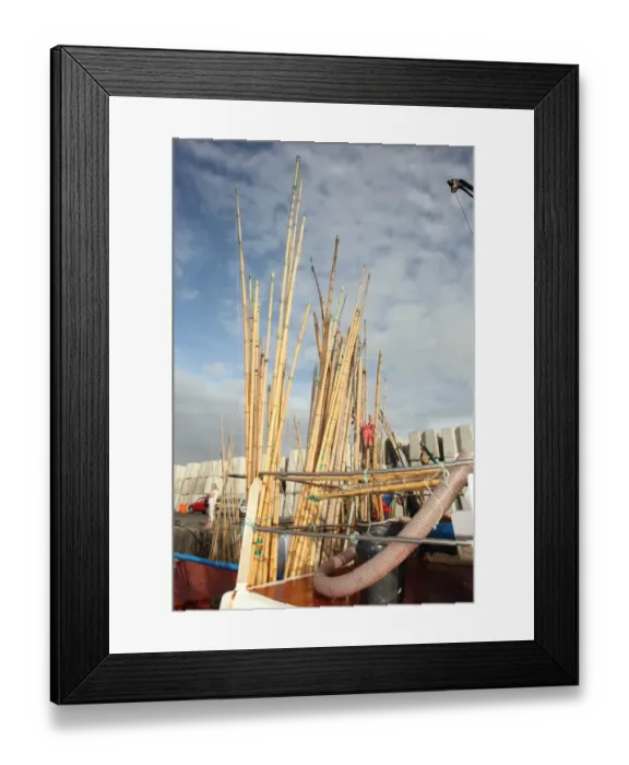Framed Print : Poles used for line caught tuna fishing on boat in harbour, pole and line fishing method, Pico Island, Azores, august Framed Print : Poles used for line caught tuna fishing on boat in harbour, pole and line fishing method, Pico Island, Azores, august