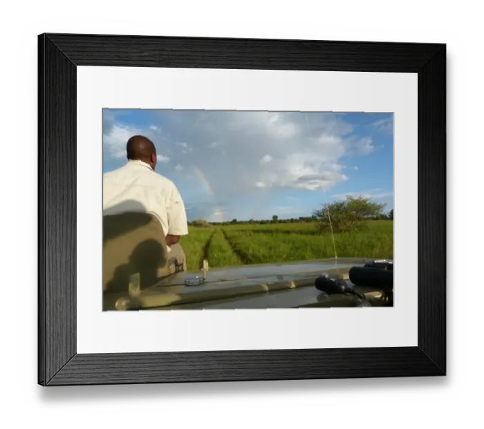 Framed Print : Spotter sitting at front of safari vehicle, in wetland habitat with rainbow, Okavango Delta, Botswana Framed Print : Spotter sitting at front of safari vehicle, in wetland habitat with rainbow, Okavango Delta, Botswana