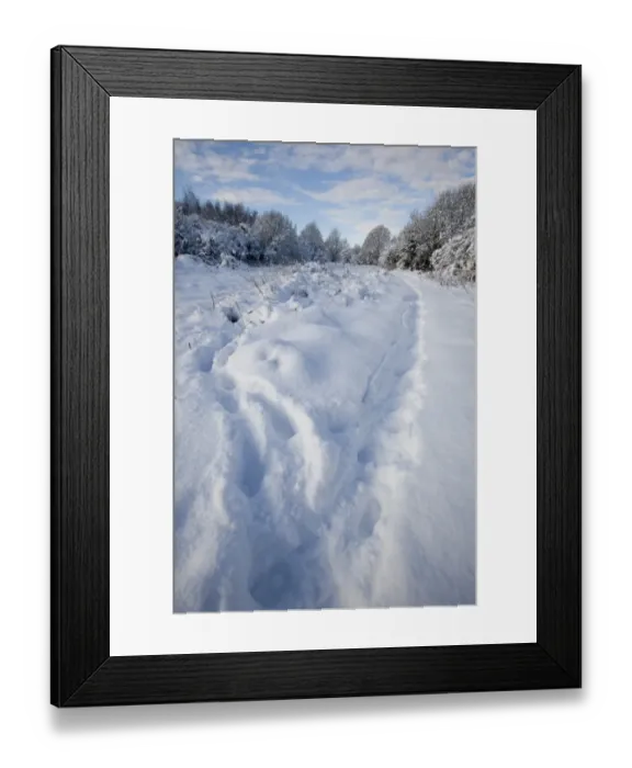 Framed Print : Footprints in snow covered urban park, Shirebrook Valley, Sheffield, South Yorkshire, England, december