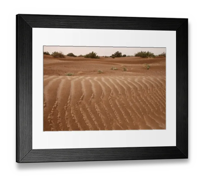 Framed Print : Wet desert sand dunes after rainfall, Sahara, Morocco, may