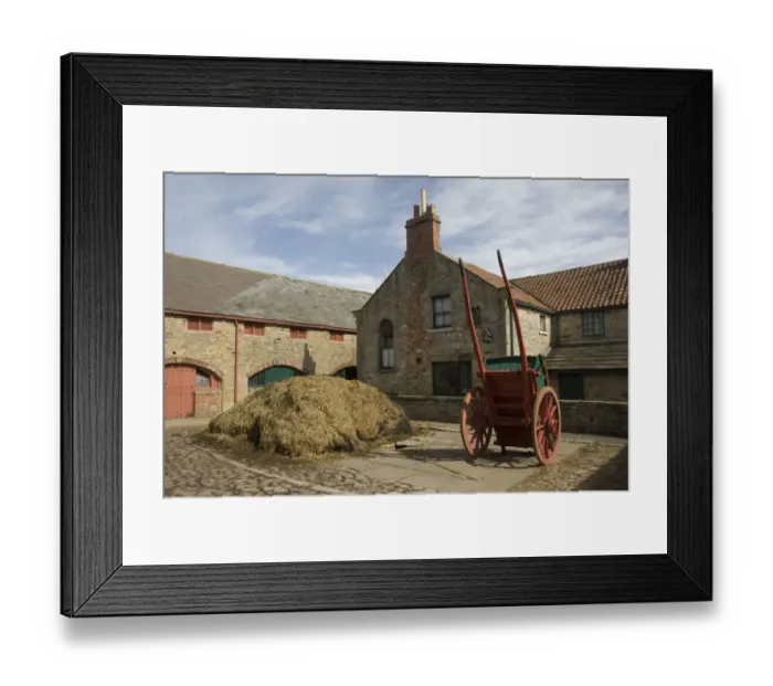 Framed Print : Manure heap and cart in farmyard, 1913 Home Farm, Beamish Museum, County Durham, England, september Framed Print : Manure heap and cart in farmyard, 1913 Home Farm, Beamish Museum, County Durham, England, september