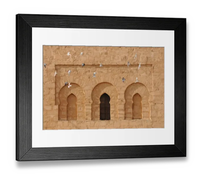 Framed Print : Mosque windows with Feral Pigeon (Columba livia) flock in flight, Qessabin Mosque, Marrakesh, Morocco, january Framed Print : Mosque windows with Feral Pigeon (Columba livia) flock in flight, Qessabin Mosque, Marrakesh, Morocco, january