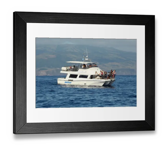 Framed Print : Tourists in whale and dolphin watching boat at sea, Azores, august Framed Print : Tourists in whale and dolphin watching boat at sea, Azores, august