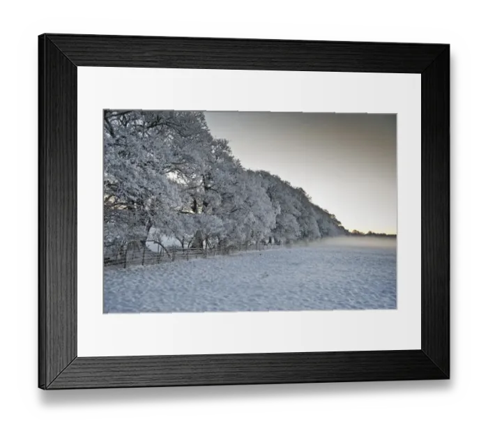 Framed Print : Snow covered trees and pasture, with mist at sunset, Meathop, Grange-over-Sands, Cumbria, England, december Framed Print : Snow covered trees and pasture, with mist at sunset, Meathop, Grange-over-Sands, Cumbria, England, december