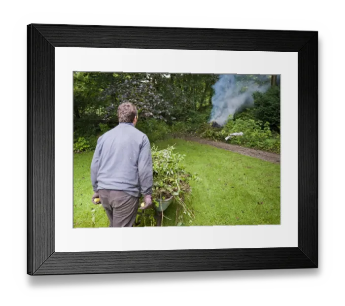 Framed Print : Gardener burning garden rubbish on bonfire, Chipping, Lancashire, England, august Framed Print : Gardener burning garden rubbish on bonfire, Chipping, Lancashire, England, august