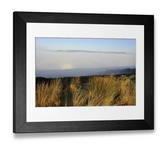 Framed Print : Brocken spectre seen from hilltop, appears when sun shines from behind person who is looking down from ridge or peak into mist or fog, Jeffrey Hill, Longridge, Lancashire, England, january Framed Print : Brocken spectre seen from hilltop, appears when sun shines from behind person who is looking down from ridge or peak into mist or fog, Jeffrey Hill, Longridge, Lancashire, England, january