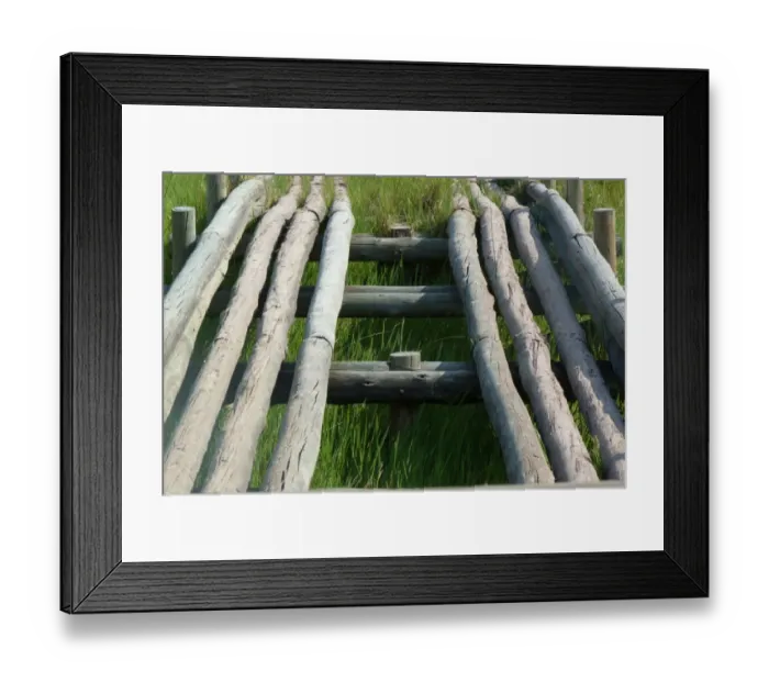 Framed Print : Log bridge over wet ground, Okavango Delta, Botswana