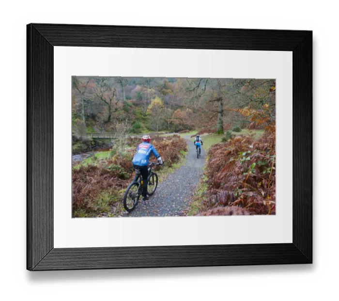 Framed Print : Cyclists mountainbiking along track on country estate, Powerscourt Estate, Enniskerry, County Wicklow, Ireland, november
