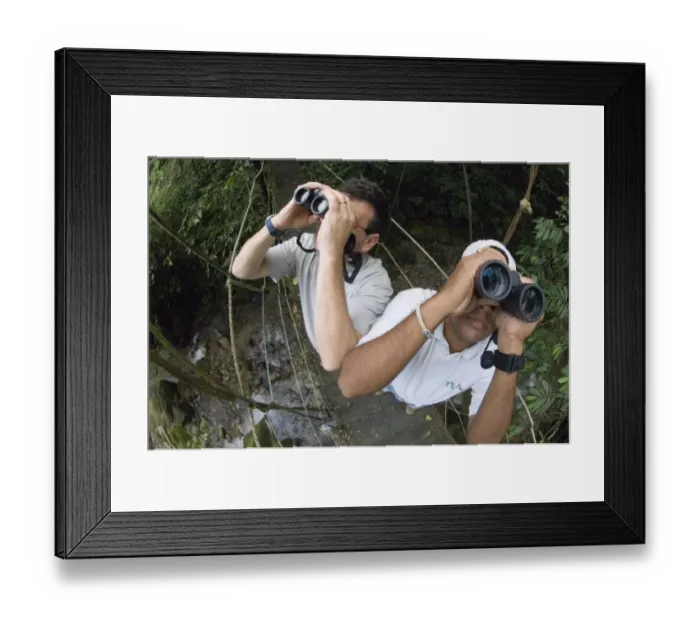 Framed Print : Two birdwatchers with binoculars, birding in foothill rainforest, El Valle, Panama Framed Print : Two birdwatchers with binoculars, birding in foothill rainforest, El Valle, Panama