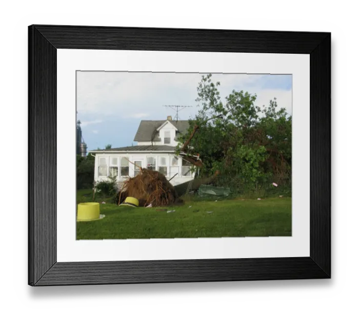 Framed Print : Tornado storm damage, uprooted tree fallen onto house, Oakes, North Dakota, U. S. A. july 2011 Framed Print : Tornado storm damage, uprooted tree fallen onto house, Oakes, North Dakota, U. S. A. july 2011