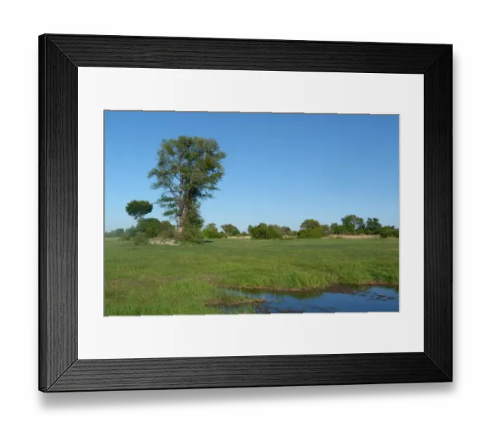 Framed Print : View of wetland habitat, Okavango Delta, Botswana Framed Print : View of wetland habitat, Okavango Delta, Botswana
