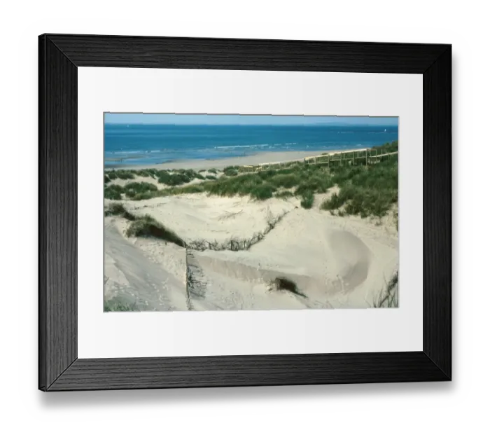 Framed Print : Sand dune blow-out reclamation on coastal dunes, Ynyslas Sand Dunes, Dyfi National Nature Reserve, Ceredigion, Dyfed, Wales Framed Print : Sand dune blow-out reclamation on coastal dunes, Ynyslas Sand Dunes, Dyfi National Nature Reserve, Ceredigion, Dyfed, Wales