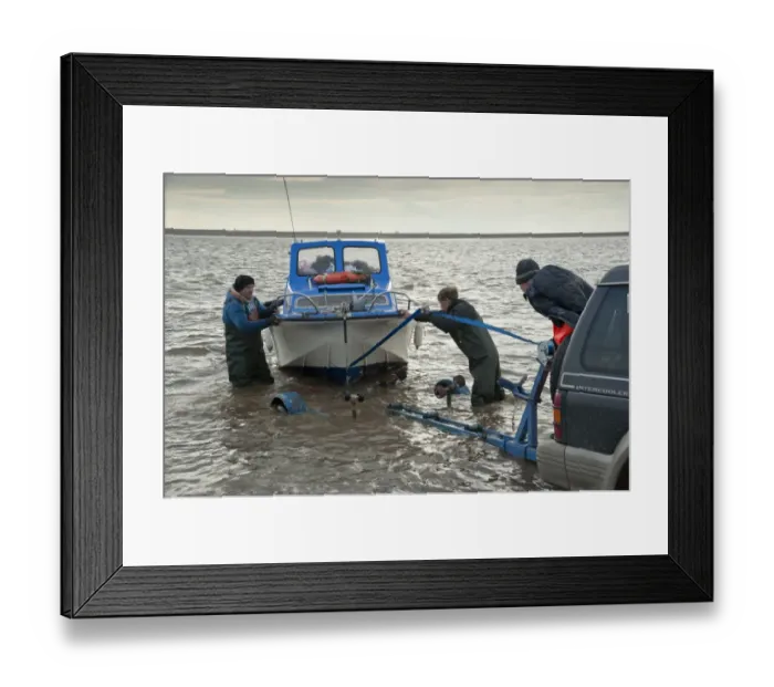 Framed Print : Licensed cockle pickers landing boat and unloading after picking from cockle beds, Foulnaze Bank, between Lytham and Southport, Ribble Estuary, Lancashire, England, november