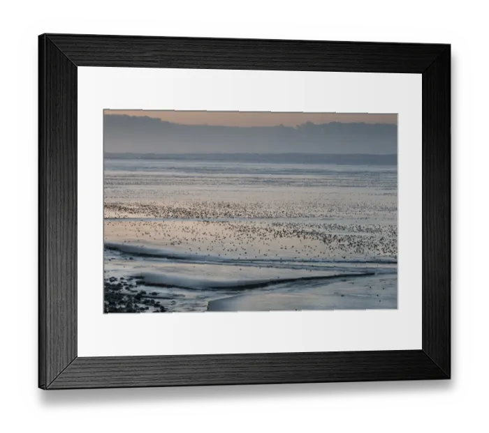 Framed Print : View of coastal mudflats with channels at sunset, Dungeness, Kent, England, june Framed Print : View of coastal mudflats with channels at sunset, Dungeness, Kent, England, june