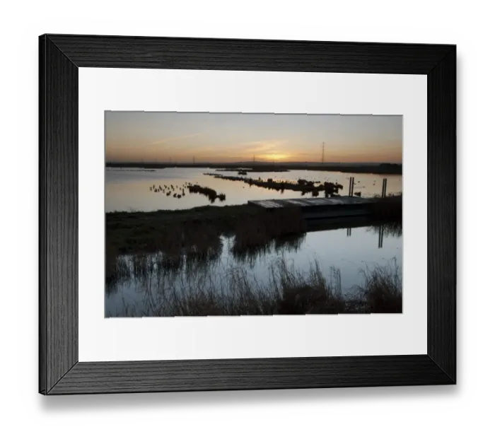 Framed Print : View of flooded wetland habitat at sunrise, Oare Marshes Nature Reserve, Kent Wildlife Trust, Kent, England, december Framed Print : View of flooded wetland habitat at sunrise, Oare Marshes Nature Reserve, Kent Wildlife Trust, Kent, England, december