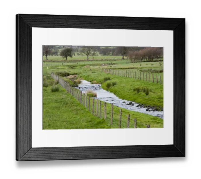 Framed Print : Stream flowing through pasture, protected from livestock with fencing, Bashall Eaves, Clitheroe, Lancashire, England, november Framed Print : Stream flowing through pasture, protected from livestock with fencing, Bashall Eaves, Clitheroe, Lancashire, England, november