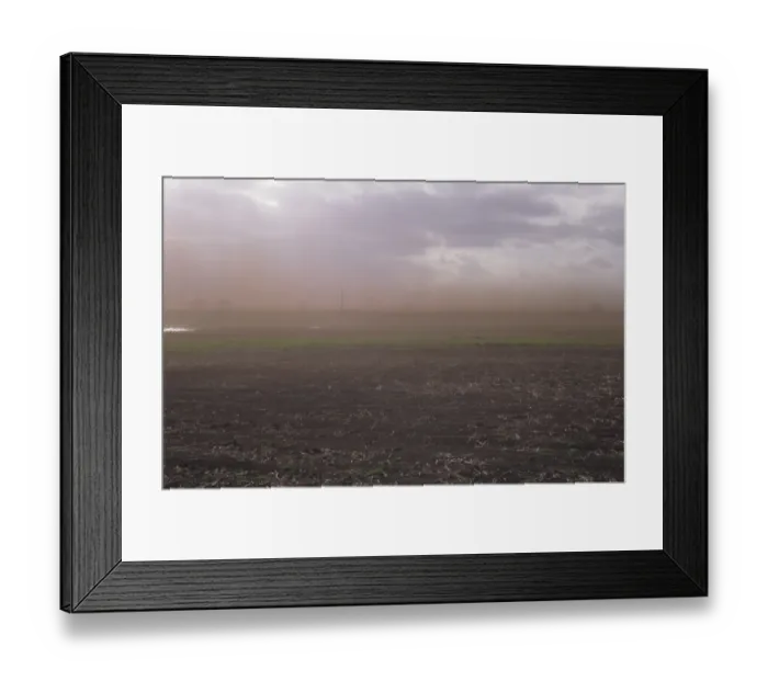 Framed Print : Soil blowout on uncultivated peat fen in drying high wind, Bardney / Nocton Fen, Lincolnshire, England, february Framed Print : Soil blowout on uncultivated peat fen in drying high wind, Bardney / Nocton Fen, Lincolnshire, England, february