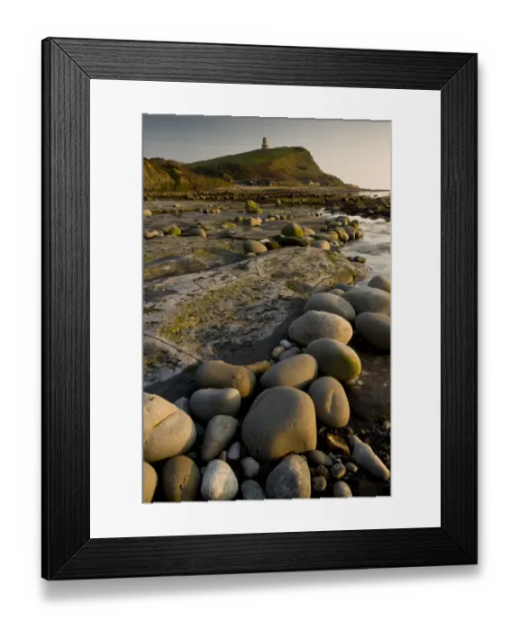Framed Print : Rocks and rockpool habitat at low tide, with Clavel Tower on clifftop in distance, Kimmeridge Bay, Dorset, England, march Framed Print : Rocks and rockpool habitat at low tide, with Clavel Tower on clifftop in distance, Kimmeridge Bay, Dorset, England, march