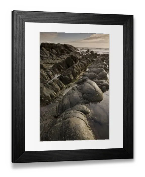 Framed Print : Heavily folded sandstone and mudstone rocks, Hartland Quay, North Devon, England, may Framed Print : Heavily folded sandstone and mudstone rocks, Hartland Quay, North Devon, England, may