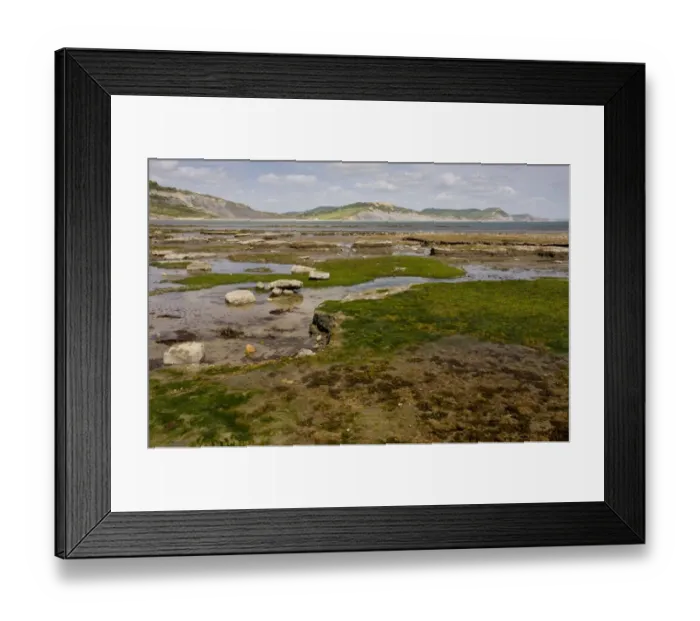 Framed Print : View of rockpools and rock ledges exposed on beach at low tide, looking towards Golden Cap, Broad Ledge, Lyme Regis, Dorset, England, may