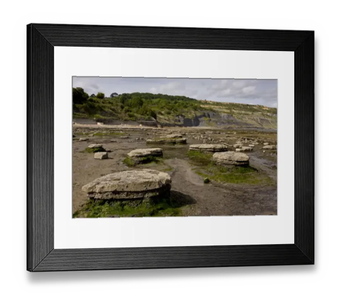Framed Print : View of rock ledges exposed on beach at low tide, Broad Ledge, Lyme Regis, Dorset, England, may Framed Print : View of rock ledges exposed on beach at low tide, Broad Ledge, Lyme Regis, Dorset, England, may