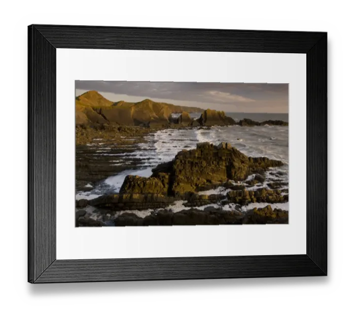 Framed Print : View of coastline with heavily folded sandstone and mudstone rocks, Hartland Quay, North Devon, England, may