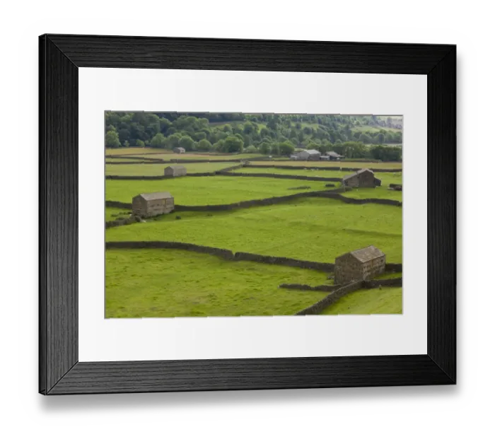 Framed Print : View of stone barns and drystone walls, near Gunnerside, Swaledale, Yorkshire Dales N. P. North Yorkshire, England, july Framed Print : View of stone barns and drystone walls, near Gunnerside, Swaledale, Yorkshire Dales N. P. North Yorkshire, England, july