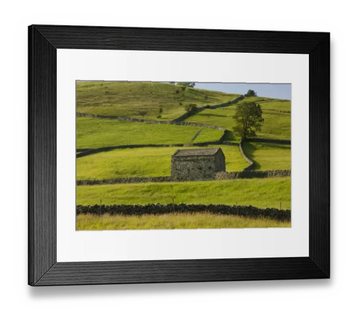Framed Print : View of stone barn and drystone walls, near Muker, Swaledale, Yorkshire Dales N. P. North Yorkshire, England, july Framed Print : View of stone barn and drystone walls, near Muker, Swaledale, Yorkshire Dales N. P. North Yorkshire, England, july