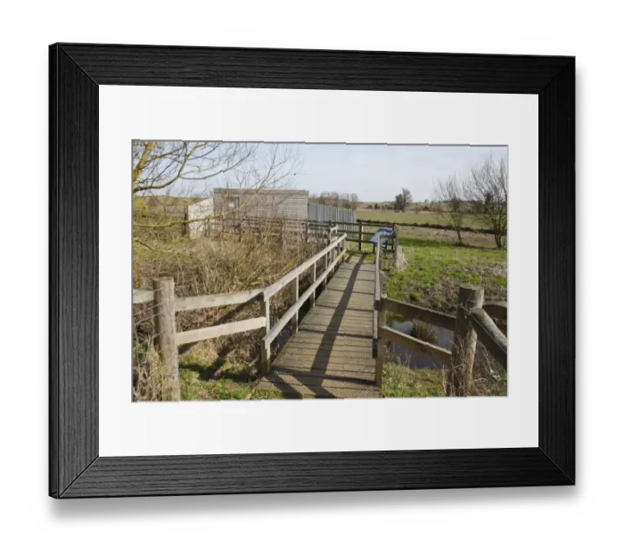 Framed Print : Boardwalk and hide overlooking grazing marsh habitat, River Black Bourn, Micklemere Nature Reserve, Pakenham, Suffolk, England, march