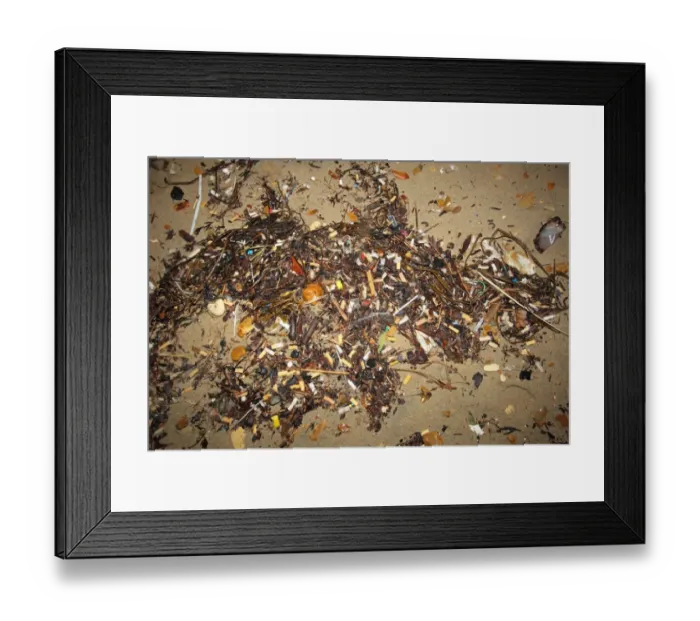 Framed Print : Cigarette butts on beach strandline, Bournemouth, Dorset, England, october