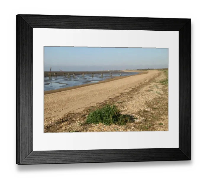 Framed Print : View of shingle beach and mudflats at low tide, The Wash, Snettisham RSPB Reserve, Norfolk, England, october Framed Print : View of shingle beach and mudflats at low tide, The Wash, Snettisham RSPB Reserve, Norfolk, England, october