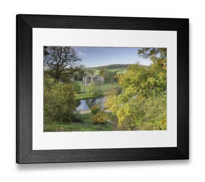 Framed Print : View of ruined 12th century Augustinian priory and river, Bolton Priory, River Wharfe, Bolton Abbey Estate, Wharfedale, Yorkshire Dales N. P. North Yorkshire, England, october