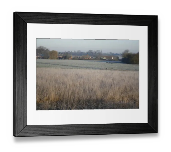 Framed Print : Frost covered permanent set-a-side beside arable field, Bacton, Suffolk, England, march Framed Print : Frost covered permanent set-a-side beside arable field, Bacton, Suffolk, England, march