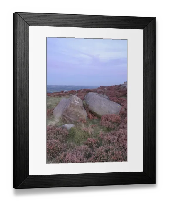 Framed Print : Gritstone rocks on heather moorland at dusk, Ilkley Moor (SSSI), Rombalds Moor, Ilkley, Wharfedale, West Yorkshire, England, september Framed Print : Gritstone rocks on heather moorland at dusk, Ilkley Moor (SSSI), Rombalds Moor, Ilkley, Wharfedale, West Yorkshire, England, september