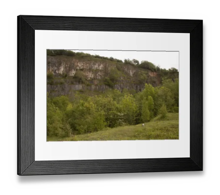 Framed Print : View of habitat regeneration in former limestone quarry, Hopton Quarry, Derbyshire Wildlife Trust Reserve, Derbyshire, England, june Framed Print : View of habitat regeneration in former limestone quarry, Hopton Quarry, Derbyshire Wildlife Trust Reserve, Derbyshire, England, june