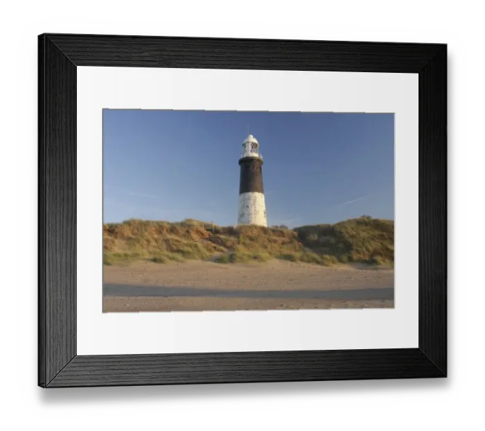 Framed Print : View of lighthouse and Marram Grass (Ammophila arenaria) growing on coastal sand dunes in evening light, Spurn Point Lighthouse, Spurn Point, East Yorkshire, England, october Framed Print : View of lighthouse and Marram Grass (Ammophila arenaria) growing on coastal sand dunes in evening light, Spurn Point Lighthouse, Spurn Point, East Yorkshire, England, october