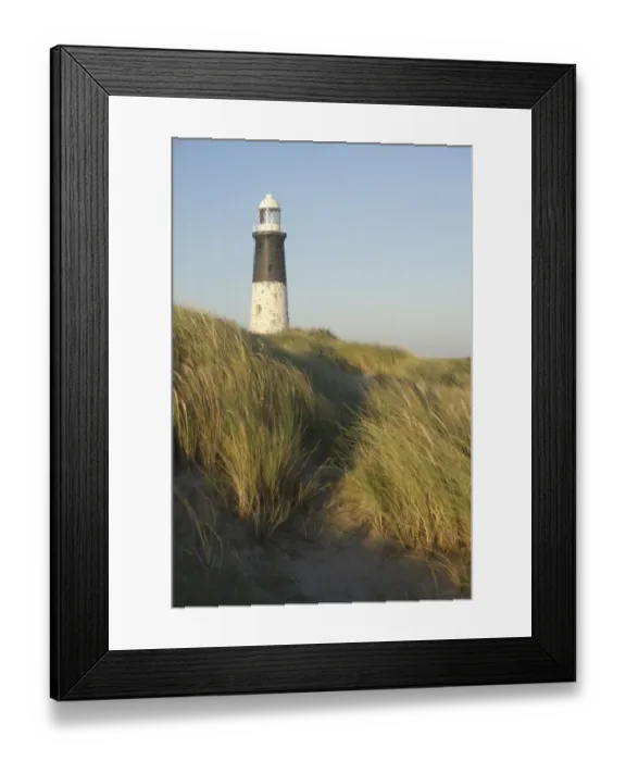 Framed Print : View of lighthouse and Marram Grass (Ammophila arenaria) growing on coastal sand dunes in evening light, Spurn Point Lighthouse, Spurn Point, East Yorkshire, England, october