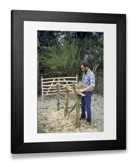 Framed Print : Hurdle maker at work, Shropshire, England Framed Print : Hurdle maker at work, Shropshire, England