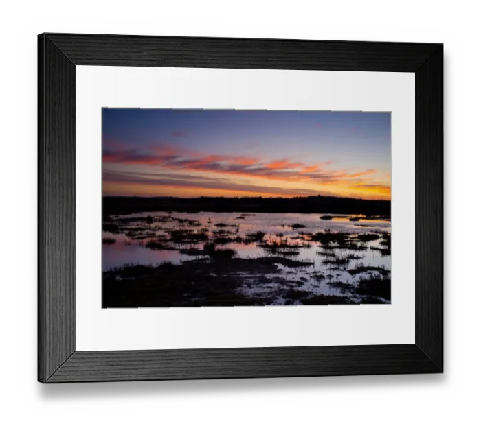 Framed Print : View of coastal marshland habitat and distant windmill at sunset, Cley Mill, Westbank Marsh, Cley-next-the-sea, Norfolk, England, january Framed Print : View of coastal marshland habitat and distant windmill at sunset, Cley Mill, Westbank Marsh, Cley-next-the-sea, Norfolk, England, january
