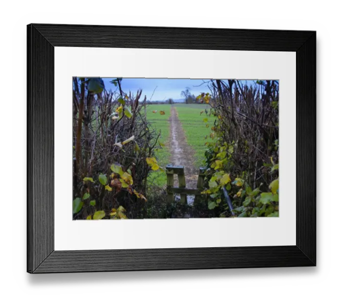 Framed Print : Footpath through cereal field, with wooden stile and hedge, Slimbridge, Gloucestershire, England, january Framed Print : Footpath through cereal field, with wooden stile and hedge, Slimbridge, Gloucestershire, England, january